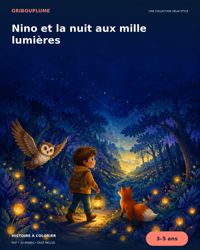 Couverture de Nino et la nuit aux mille lumières