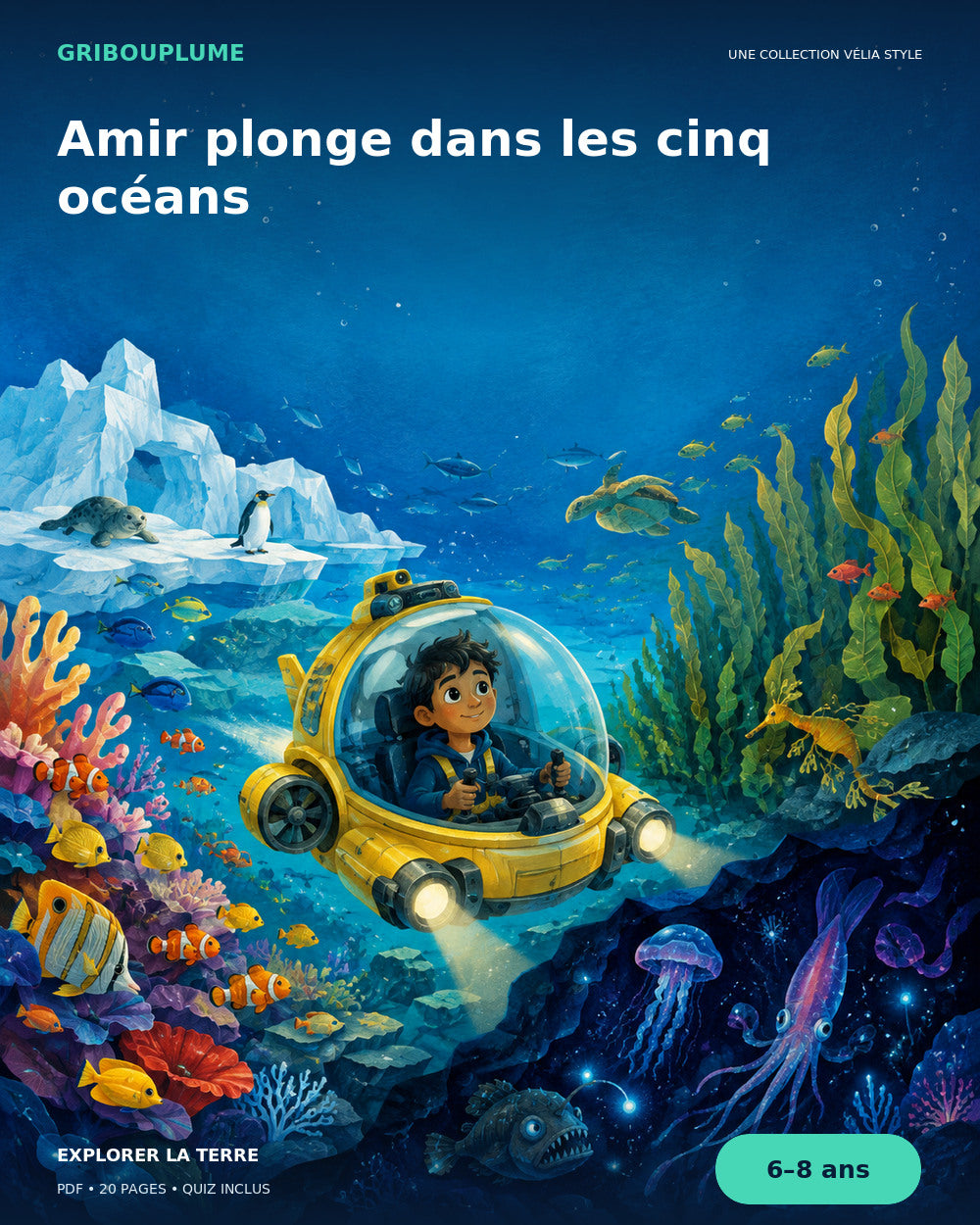 Couverture de Amir plonge dans les cinq océans